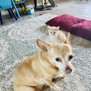 Fundraising Page: ELIZABETH JENNINGS